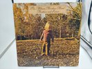 ALLMAN BROTHERS BAND Brothers And Sisters LP Record  1973 Ultrasonic Clean VG+