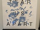 ANBERLIN Tear Us Apart (lockdown livestream) Vinyl LP SEALED
