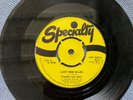 FRANKIE LEE SIMS - LUCY MAE BLUES rare UK 1973 / BLUES R&B / SPCIALITY / MINT-