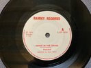 HAZARD - SNAKE IN THE GRASS rare UK 1981 / BRITISH HEAVY METAL / NWOBHM / MINT-