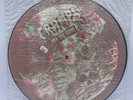 The Cramps Off The Bone LP Limited Edition 3d Picture Disc 1985 - RARE