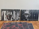 Near Mint Charley Patton Blind Willie McTell Mississippi Sheiks 13 LPs Third Man