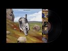 ENGLISH TEACHER - THIS COULD BE TEXAS VINYL LP (NEW)