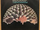 RAMP - COME INTO KNOWLEDGE (1977) LP ABC BLUE THUMB