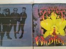 THE CULT - Wild Flower 1987 2x7