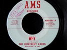 The DIFFERENT PARTS - Why / I private Louisiana garage fuzz rock '67 AMS 45 NM