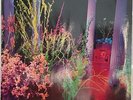 Hüsker Dü - Warehouse: Songs And Stories [WB, 2003, Vinyl: NM] 2xLP, LYRIC INNER
