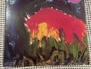 MEAT PUPPETS 'II LP NEW Nirvana Cris Curt Kirkwood Krist Novoselic Eyes Adrift