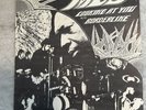 MC5 Borderline/ Looking At You 45 Original EX/ NM