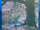 Yoko Ono / Plastic Ono Band 1970 Apple Records SW 3373 1st Scranton Pressing VG+