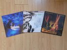 Echo and The Bunnymen Vinyl Records - Crocodiles, Porcupine, Ocean Rain