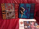 Guns & Roses Vinyl 2 mal