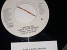 limp bizkit take a look around jukebox vinyl version generic sleeve