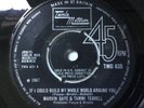 MARVIN GAYE & TAMMI TERRELL-IF I COULD BUILD MY WHOLE WORLD AROUND YOU - TMG 635