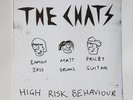The Chats - High Risk Behaviour (Transparent Vinyl) IMPORT Record LP - NEW PUNK