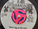 Wynd Chymes 45 Baby You're the One RIDE on Shakin Records RARE FUNK grail soul