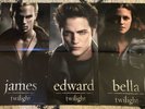 Twilight OST VINYL LP w/ 3 bonus Posters PLUS Hot Topic Exclusive Picture DISC