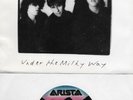 THE CHURCH  Under The Milky Way / Musk  original 45 with PicSleeve (small hole)