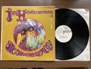The Jimi Hendrix Experience- Are You Experienced? MONO PROMO Vinyl WLP R6261 VG
