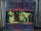 TEMPLE OF THE DOG ORIGINAL   1992 ORIGINAL SOUNDGARDEN PEARL JAM VINYL RARE LP