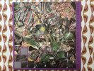 Stone Roses So Young / Tell Me 12” Vinyl Original Press 1985
