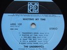 Original Press NZ LP The Underdogs - Wasting My time Ex+ (Space Farm)