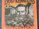 Dead Kennedys - Give Me Convenience... LP+Flexi VIRUS057 1987 1st US Punk NM