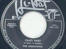 THE UNKNOWNS Crazy Daisy Hi-Hat Rockabilly Doo Wop 45 HEAR