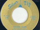 TOM O'CONNOR Wasted Years Silver Tip Rockabilly RARE VG++ 45 HEAR