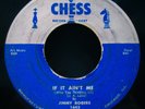 JIMMY ROGERS If It Ain't Me + Walking By Myself Roots Blues 45-CHESS #1643