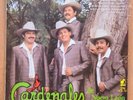 los cardenales de nuevo leon