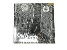 Gray Matter Food For Thought LP NEW Dischord Records Gray Matter Band Punk Rock