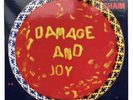 The Jesus And Mary Chain – Damage And Joy - Deluxe 2 x 180gm Vinyl LP Reissue