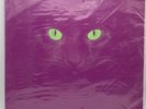 Serato LYM Glow in the Dark Control Vinyl 2013 LP Pair Limited Edition SEALED