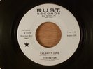 The Raven  Calamity Jane/Now She's Gone  Promo RARE  Fuzz Garage, Psych