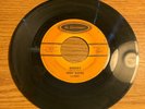 LOUISIANA GARAGE 45 EDDY RAVEN MISERY LA LOUISIANNE 8061
