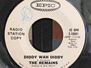 THE REMAINS DIDDY WAH DIDDY/ONCE BEFORE-RARE 66 BOSTON GARAGE PROMO 45 HEAR BOTH