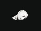 Sofa | Black 2xVinyl LP | Source Crossfire | Constellation