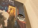 Fall Out Boy IOH and FUTCT Limited Edition Vinyl Record Albums
