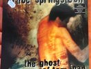 Bruce Springsteen - The Ghost Of Tom Joad (Vinyl LP - 1995 - EU - Original)
