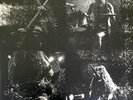 Impetuous Ritual ‎- Bane Of Europe LP - Vinyl Album - NEW Black Metal Record