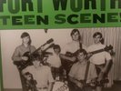 Various – Fort Worth Teen Scene  Volume Three  NM  Vinyl LP83