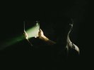 Spoken - Reflection [Indie-Exclusive 