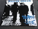 Death Side - Wasted Dream LP (Punk/Rock/Hardcore) FERAL WARD RECORDS 2020
