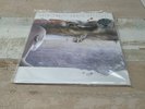 Rush Grace Under Pressure RARE 200g Audiophile VINYL LP New & Sealed  GEDDY LEE