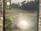 Kacey Musgraves LIMITED EDITION COVER Deeper Well | Transparent Cream Vinyl MINT