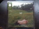 Kacey Musgraves LIMITED EDITION COVER Deeper Well | Transparent Cream Vinyl MINT