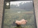 KACEY MUSGRAVES Deeper Well LP LIMITED Alternate Cover CREAM Color Vinyl
