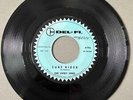 The Lively Ones - Surf Rider/Surfer's Lament * Del-Fi 4196 Surf Rock 45 Hear