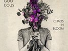 Goo Goo Dolls – Chaos In Bloom - LP Vinyl Record 12